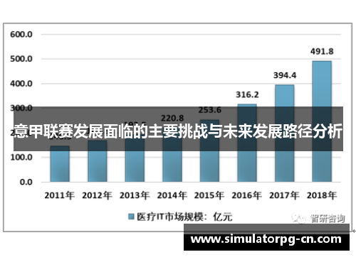 意甲联赛发展面临的主要挑战与未来发展路径分析