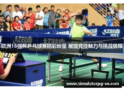 欧洲16强杯乒乓球赛精彩纷呈 展现竞技魅力与挑战极限