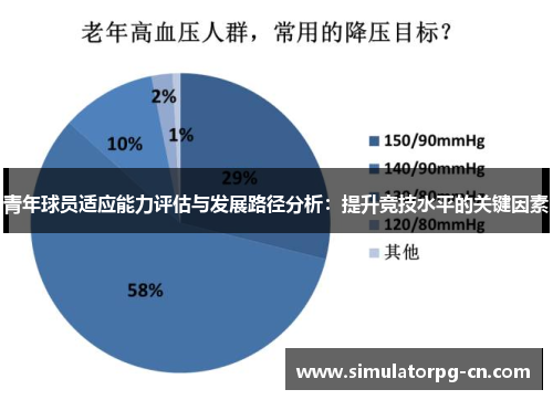 青年球员适应能力评估与发展路径分析：提升竞技水平的关键因素