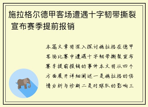 施拉格尔德甲客场遭遇十字韧带撕裂 宣布赛季提前报销